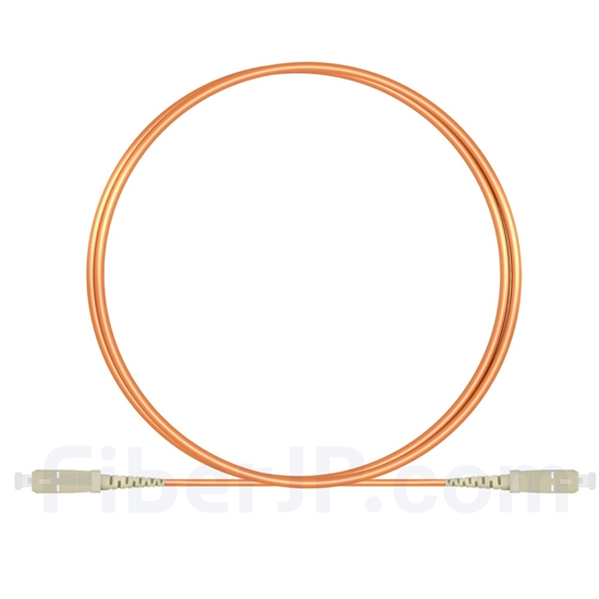 1m SC/UPC-SC/UPC シンプレックス マルチモード 光パッチケーブル（2.0mm PVC/OFNR OM1）の画像