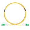 1m LC/APC-LC/APC デュプレックス シングルモード 光パッチケーブル（2.0mm PVC/OFNR OS2）の画像