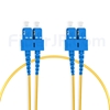 1m SC/UPC-SC/UPC デュプレックス シングルモード 光パッチケーブル（2.0mm LSZH OS2）の画像
