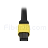 2m MPOメス-4LC/UPC デュプレックス 8芯 タイプB OS2 9/125 シングルモード ブレイクアウトケーブル（エリート、LSZH、黄色）の画像