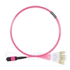 2m MPOメス-4LC/UPC デュプレックス 8芯 タイプB LSZHOM4（OM3) 50/125 マルチモード ブレイクアウトケーブル（エリート、マゼンタ）の画像