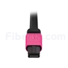 2m MPOメス-4LC/UPC デュプレックス 8芯 タイプB LSZHOM4（OM3) 50/125 マルチモード ブレイクアウトケーブル（エリート、マゼンタ）の画像