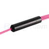 2m MPOメス-4LC/UPC デュプレックス 8芯 タイプB LSZHOM4（OM3) 50/125 マルチモード ブレイクアウトケーブル（エリート、マゼンタ）の画像