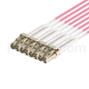 2m MPOメス-4LC/UPC デュプレックス 8芯 タイプB LSZHOM4（OM3) 50/125 マルチモード ブレイクアウトケーブル（エリート、マゼンタ）の画像