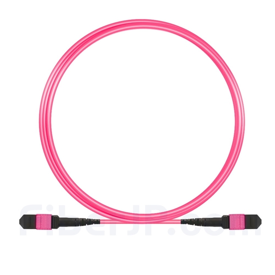 3m MTP-MTPパッチコード メス 12芯 プレナム(OFNP) OM4 (OM3) 50/125 マルチモード（タイプB、エリート、マゼンタ)の画像