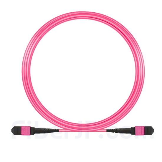 10m MTP-MTPパッチケーブル メス 12芯 プレナム(OFNP) OM4 (OM3) 50/125 マルチモード（タイプB、エリート、マゼンタ)の画像