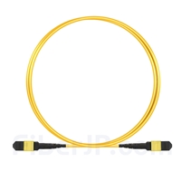 2m MTP-MTPパッチケーブル メス 12芯 プレナム(OFNP) OS2 9/125 シングルモード（タイプB、エリート、黄色)