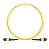 3m MTP-MTPパッチコード メス 24芯 タイプA(TIA-568) プレナム(LSZH) OS2 9/125 シングルモード（エリート、CPAK-10x10G-LR、黄色)の画像