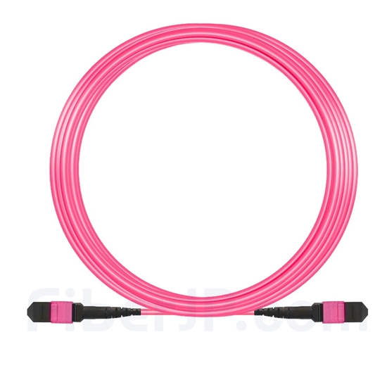 15m MTP-MTPパッチコード メス 12芯 プレナム(LSZH) OM4 (OM3) 50/125 マルチモード（タイプA、エリート、マゼンタ)の画像