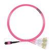 5m MTPメス-6LC/UPC デュープレックス 12芯 OM4 (OM3) 50/125 マルチモード ブレイクアウトケーブル(タイプA、エリート、LSZH、マゼンタ)の画像