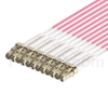 5m MTPメス-6LC/UPC デュープレックス 12芯 OM4 (OM3) 50/125 マルチモード ブレイクアウトケーブル(タイプA、エリート、LSZH、マゼンタ)の画像