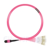 5m MTPメス-4LC/UPC デュープレックス 8芯 プレナム(OFNP) OM4 (OM3) 50/125 マルチモード ブレイクアウトケーブル(タイプB、エリート、マゼンタ)の画像