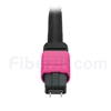 3m MTPオス-6LC/UPC デュープレックス 12芯 プレナム(OFNP) OM4 (OM3) 50/125 マルチモード ブレイクアウトケーブル(タイプA、エリート、マゼンタ)の画像