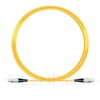 10M（33ft）1550nm FC/UPC 低速軸 シングルモード シンプレックス 偏波保持 光パッチケーブル(3.0mm PVC-3.0mm/OFNR)の画像