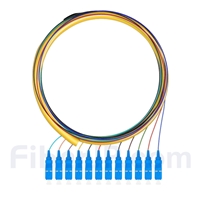 1.5m 12芯 SC/UPC シングルモード ピッグテール光ファイバケーブル（0.9mm PVCジャケット、9/125、束状）