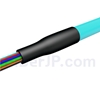 1.5m 12芯 LC/UPC マルチモード ピッグテール光ファイバケーブル（0.9mm PVCジャケット、 50/125 OM4、束状）の画像